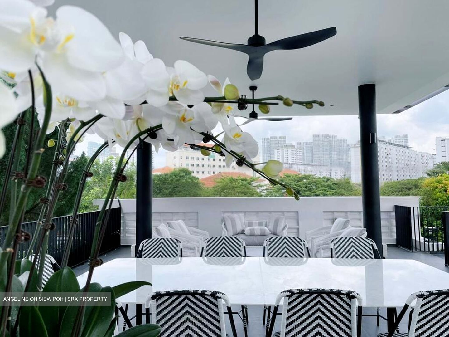 Holland Rise (D10), Apartment #625043661